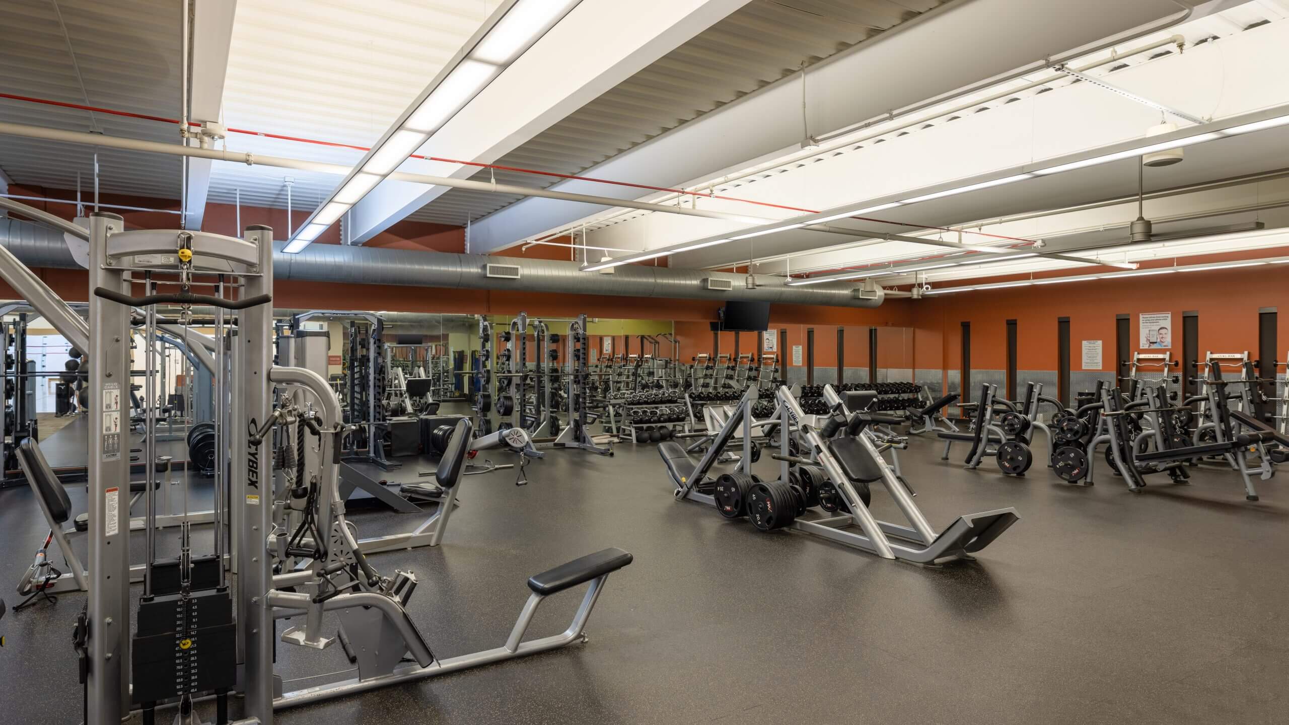 Village Clubs Ocotillo gym with high ceilings, bright lighting, mirrors, machines, free weights, and rubber flooring.